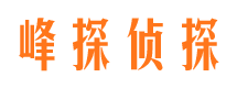 滨海市私家侦探